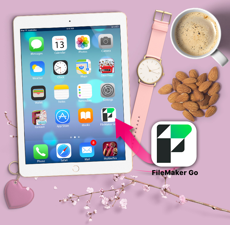filemaker go