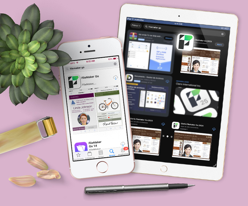 filemaker go install app